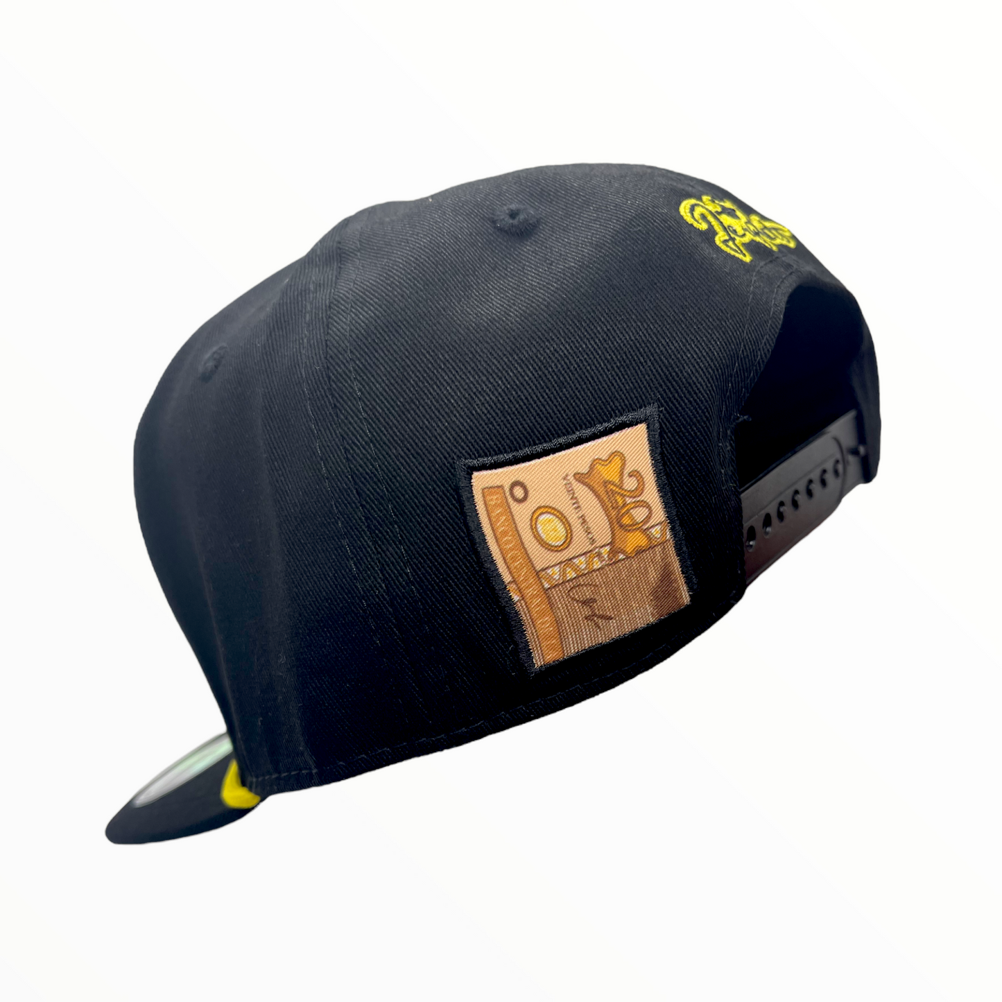 DR Map $20 DOP SNAPBACK CAP